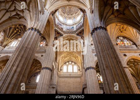 Salamanque, Espagne, 06.10.21. Richement décotée Nouvelle cathédrale (Catedral Nueva) à Salamanque, vue intérieure avec voûtes en pierre décoratives, colonnes. Banque D'Images