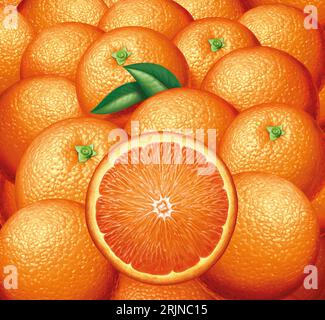 Oranges illustrées Banque D'Images