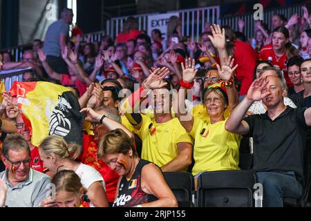 Gand, Belgique. 22 août 2023. Supporters belges photographiés lors d'un match de volleyball entre les équipes nationales féminines de Belgique, connues sous le nom de Tigres jaunes, et de Pologne lors du onzième match de la CEV Euro volley Championshiop dans la poule A, le mardi 22 août 2023 à Gand, BELGIQUE . Crédit : Sportpix/Alamy Live News Banque D'Images