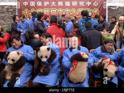 Bildnummer : 51114077 Datum : 17.02.2006 Copyright : imago/Xinhua Riesenpandas auf dem Gelände des - Wolong Giant Panda Research Center - in Wolong PUBLICATIONxNOTxINxCHN, Personen ; 2006, Wolong, Sichuan, Panda, Pandas, Pandabär, Pandabären, Bär, Bären, großer, große, Riesenpanda, Riesenpandas, Forschungszentrum, Forschungszentren ; , quer, Kbdig, Gruppenbild, Chine / kurios, Tierpfleger, Mann, Männer, Tiere, Säugetiere, optimistisch Banque D'Images