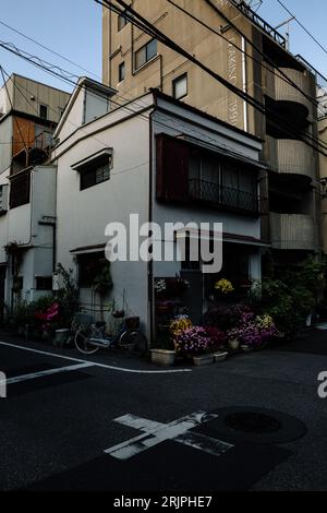 Une scène de rue animée de Tokyo, au Japon, avec des maisons traditionnelles et des devantures de magasins le long du paysage urbain coloré Banque D'Images