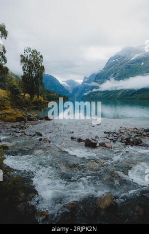 Une scène tranquille d'une rivière peu profonde qui traverse une forêt luxuriante, avec de grands rochers sortant de l'eau et des arbres imposants sur les rives Banque D'Images