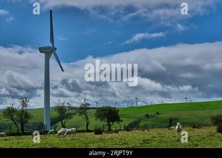 Éolienne sur panty Hill, près du Kerry Ridgeway, Powys, pays de Galles Banque D'Images