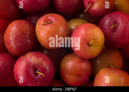 Un gros plan de diverses pommes soigneusement empilées ensemble dans un tas sur une surface plane Banque D'Images