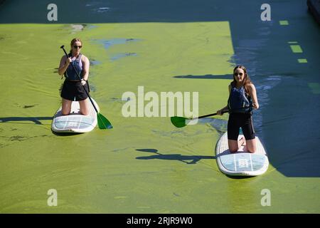 Paddleboarders profitant du temps chaud sur le canal dans le bassin de Paddington à Londres. Une vague de chaleur mise en place pour balayer le pays mercredi pourrait être la dernière cette année, ont dit les prévisionnistes. Le met Office s'attend à ce que les températures atteignent un pic à la fin des années 20 dans certaines zones avant que les chutes de mercure et le soleil ne laissent place à des conditions plus instables pendant le jour férié.Date de la photo : mercredi 23 août 2023. Banque D'Images