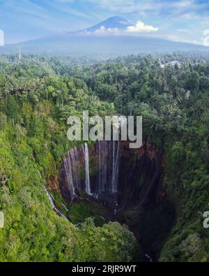 Une vue aérienne de la superbe cascade Lumajang Sewu en Indonésie, entourée d'une forêt tropicale luxuriante Banque D'Images