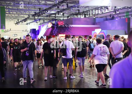 Cologne, Allemagne. 23 août 2023. Les visiteurs de la gamescom Games Fair se promènent dans l'une des salles d'exposition. Crédit : Sascha Thelen/dpa/Alamy Live News Banque D'Images