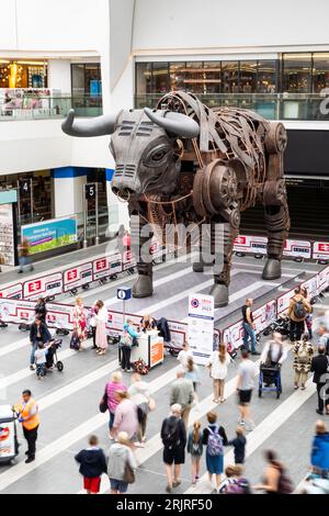BIRMINGHAM NEW STREET STATION, ROYAUME-UNI - 23 AOÛT 2023. Ozzy le taureau mécanique utilisé comme mascotte pour les Jeux du Commonwealth se tient maintenant dans le hall Banque D'Images
