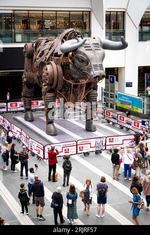 BIRMINGHAM NEW STREET STATION, ROYAUME-UNI - 23 AOÛT 2023. Ozzy le taureau mécanique utilisé comme mascotte pour les Jeux du Commonwealth se tient maintenant dans le hall Banque D'Images