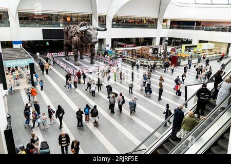 BIRMINGHAM NEW STREET STATION, ROYAUME-UNI - 23 AOÛT 2023. Ozzy le taureau mécanique utilisé comme mascotte pour les Jeux du Commonwealth se tient maintenant dans le hall Banque D'Images