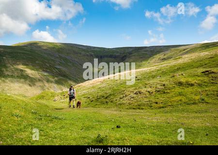 Marcheur mâle avec un chien sur la piste jusqu'à Cross Fell, plus haut à Pennines, Eden Valley, Cumbria Banque D'Images