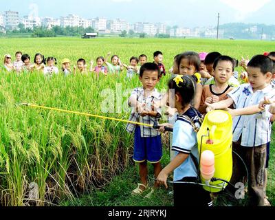 Bildnummer : 51514523 Date de référence : 15.10.2006 Copyright : imago/Xinhua Schüler beim Anschauungsunterricht auf einem Weizenfeld in Shaoping - Provinz Guangxi Zhuang - PUBLICATIONxNOTxINxCHN, Personen ; 2006, Shaoping, Guangxi Zhuang, Jugendlicher, Jugendliche, Unterrichte, Unterrichte, Einheimischer, Einheimische, Chinois, Chinesen, Kind, Naturkunde, Schulkind, Schulkinder, Anschauungsunterricht, Weizen, Weizenanbau, versprühen, Pestizid, Pestizide, Insektizid, Insektizide, Pflanzenschutz, Sprühgerät, Sprühgeräte, Mädchen, Pflanzenschutzmittel; , quer, Kbdig, totale, Landwirtschaft, Wirtschaft, Chine, Banque D'Images