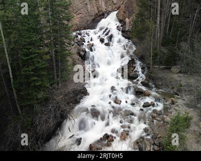 Une cascade majestueuse en cascade le long d'une montagne rocheuse, entourée d'arbres à feuilles persistantes luxuriantes Banque D'Images