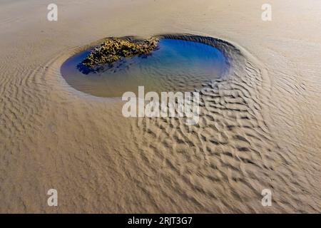 Marée basse sur Shi Shi Beach dans Olympic National Park, Washington State, USA Banque D'Images