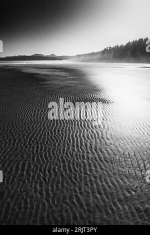 Marée basse sur Shi Shi Beach dans Olympic National Park, Washington State, USA Banque D'Images