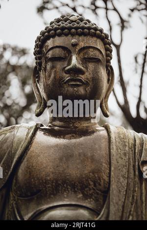 Une majestueuse statue de Bouddha assis dans un cadre extérieur tranquille, entouré d'arbres verdoyants et d'un ciel nuageux Banque D'Images