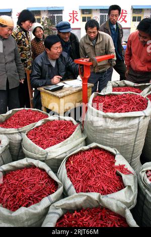 Bildnummer : 51579695 Datum : 04.12.2006 Copyright : imago/Xinhua Verkäufer und Kunden während des Abwiegens von roten Chilischoten auf einem Markt in Gaomiaowang - PUBLICATIONxNOTxINxCHN, Personen , Objekte ; 2006, Gaomiaowang, , Chili, Peperoni, Kunde, Mann, chinois, Chinesen, Gewürz, Schoten, Marktstand, stand, Sack, Waage, Kundin, Frau; , hoch, Kbdig, Gruppenbild, Landwirtschaft, Wirtschaft, Chine, o0 Yanggu Banque D'Images