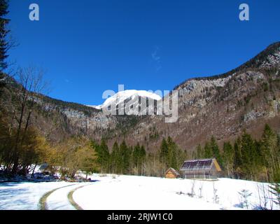 Vue hivernale des pâturages enneigés dans la vallée de Voje près de Bohinj à Gorenjska, Slovénie avec des sommets enneigés des alpes juliennes en arrière-plan Banque D'Images