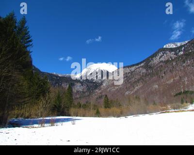 Vue hivernale des pâturages enneigés dans la vallée de Voje près de Bohinj à Gorenjska, Slovénie avec des sommets enneigés des alpes juliennes en arrière-plan Banque D'Images