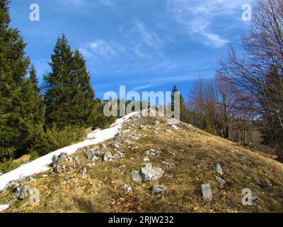 Prairie de montagne en hiver couverte de rochers, d'herbe et de neige entourée d'épinettes et de hêtres en Slovénie Banque D'Images