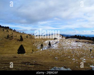 Pré au plateau Big Pature ou Velika planina en Slovénie en hiver Banque D'Images