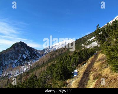 Vue de la pente dans les montagnes Karavanke, Slovénie couverte d'herbe sèche et de pin rampant avec un sommet couvert de neige de la montagne STOL en arrière-plan Banque D'Images