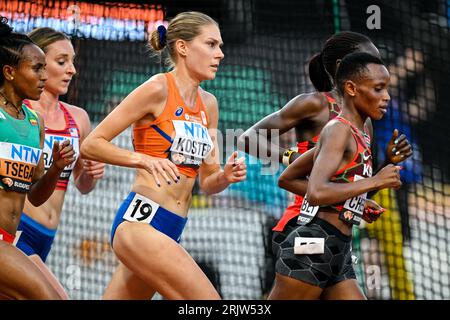 Budapest, Hongrie. 23 août 2023. BUDAPEST, HONGRIE - 23 AOÛT : Maureen Koster, des pays-Bas, en compétition dans la manche 1 du 5000m féminin au jour 5 des Championnats du monde d'athlétisme Budapest 2023 au Centre national d'athlétisme le 23 août 2023 à Budapest, Hongrie. (Photo Andy Astfalck/Agence BSR) crédit : Agence BSR/Alamy Live News Banque D'Images