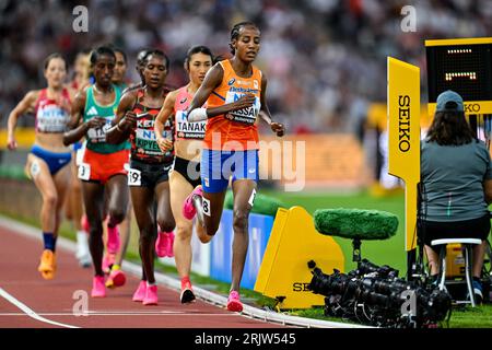 Budapest, Hongrie. 23 août 2023. BUDAPEST, HONGRIE - 23 AOÛT : Sifan Hassan des pays-Bas concourant dans la manche 2 du 5000m féminin au jour 5 des Championnats du monde d'athlétisme Budapest 2023 au Centre national d'athlétisme le 23 août 2023 à Budapest, Hongrie. (Photo Andy Astfalck/Agence BSR) crédit : Agence BSR/Alamy Live News Banque D'Images
