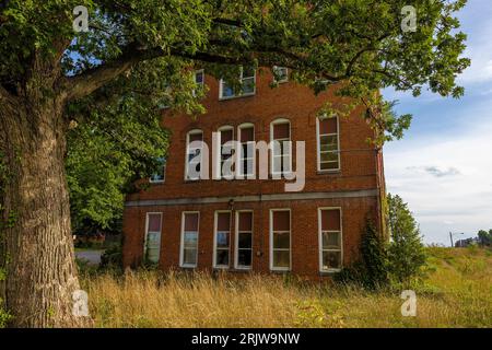 Un bâtiment abandonné en briques avec des fenêtres cassées et de l'herbe envahie se trouve derrière un arbre sous un ciel nuageux Banque D'Images