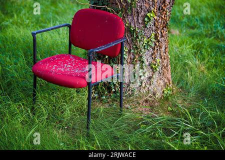 Une chaise coussin rouge assise à côté d'un tronc d'arbre Banque D'Images