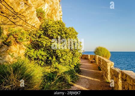 Petrovac na moru, Monténégro. 08 août 2023. Falaises ensoleillées, couvertes de branches d'arbres à feuilles persistantes, à Petrovac na Moru, Monténégro. Banque D'Images