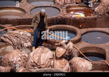 FES, MAROC - ARIL 10, 2023 - célèbre tannerie dans la médina de Fes, où le cuir est transformé depuis des générations, Maroc Banque D'Images