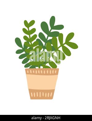 plante d'intérieur de style plat en pot Illustration de Vecteur