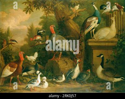 Oiseaux dans un paysage entre circa 1708 et circa 1710 par Jakob Bogdani Banque D'Images