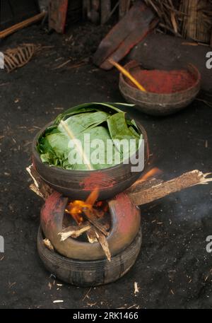 Afrique, République démocratique du Congo, région de Ngiri, tribu Libinza. Foyer en argile à trois branches. Il peut être utilisé sur terre ou dans les canoës. Les feuilles de bananier recouvrent les aliments préparés. Banque D'Images