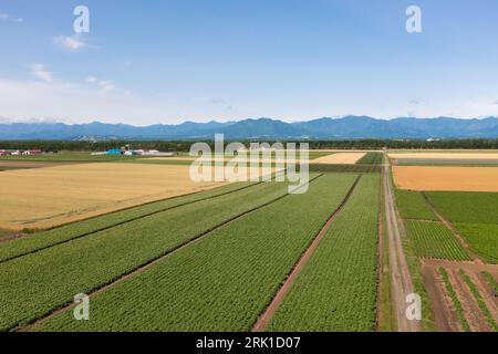 Vue aérienne de la plaine de Tokachi, Hokkaido, Japon Banque D'Images