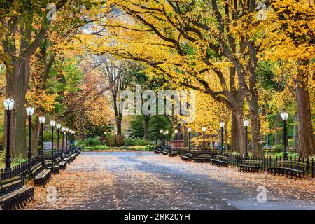 Central Park at The Mall in New York City during an autumn dawn. Stock Photo