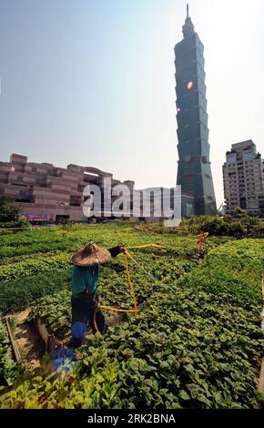 Bildnummer : 53155835 Datum : 31.05.2009 Copyright : imago/Xinhua Un planteur cultive dans le champ de légumes sur la scène de fond de l'édifice Taipei 101, le gratte-ciel emblématique de la ville, à Taipei, au sud-est de Taiwan, le 31 mai 2009. Wirtschaft kbdig Landwirtschaft hoch Bildnummer 53155835 Date 31 05 2009 Copyright Imago XINHUA un planteur CULTIVER dans le champ de légumes contre le fond scène de l'édifice Taipei 101 The City S Landmark Skyscraper à Taipei Sud-est TAIWAN Mai 31 2009 économie Kbdig Agriculture vertical Banque D'Images