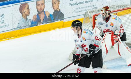 Cergy Pontoise, France, 22 août 2023, Aren'ICE, Match de préparation de saison à la ligue Magnus, Jokers de Cergy vs Gothiques d'Amiens, A Chaoui, P2M. Banque D'Images