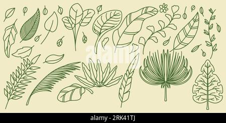 Seize dessins à la main ensemble floral fougère botanique éléments de forêt avec des feuilles élégantes pour l'invitation enregistrer la conception de carte de date. Botanic rustique tendance gre Illustration de Vecteur