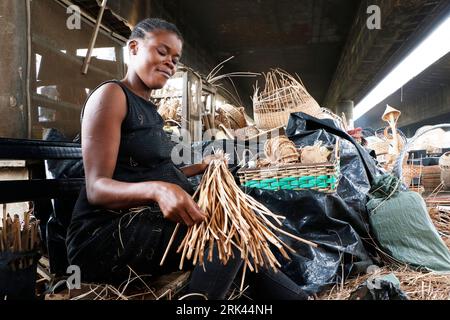 Une femme traite le bois de canne pour le tissage dans le plus grand « village » de canne du Nigeria à Mende dans le district du Maryland de Lagos. L'artisanat de canne à sucre au Nigeria, le pays le plus peuplé d'Afrique, prospère au milieu d'un ralentissement économique qui a affecté les petites entreprises et les revenus des gens. Dans le village, des dizaines de personnes, dont des membres de la famille et des chômeurs, sont engagés dans le tissage de différents articles ménagers comme des tables, des paniers, des porte-vin, des pots de fleurs avec du bois de canne provenant de la région marécageuse du delta du Niger. Lagos, Nigeria. Banque D'Images