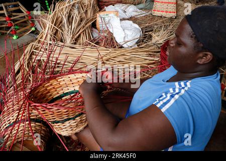 Une femme tisse un panier domestique dans le plus grand « village » de canne à sucre du Nigeria à Mende dans le district du Maryland de Lagos. L'artisanat de canne à sucre au Nigeria, le pays le plus peuplé d'Afrique, prospère au milieu d'un ralentissement économique qui a affecté les petites entreprises et les revenus des gens. Dans le village, des dizaines de personnes, dont des membres de la famille et des chômeurs, sont engagés dans le tissage de différents articles ménagers comme des tables, des paniers, des porte-vin, des pots de fleurs avec du bois de canne provenant de la région marécageuse du delta du Niger. Lagos, Nigeria. Banque D'Images