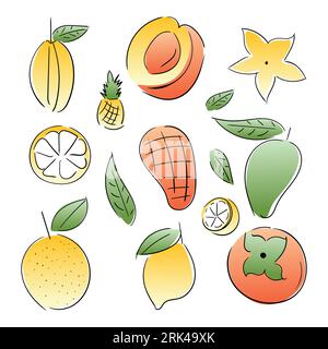 Orange fruits éléments comme agrumes, citron, abricot, kaki, nectar, mangue, pêche, ananas, papaye, fruit étoilé isolé sur fond blanc. Illustration de Vecteur