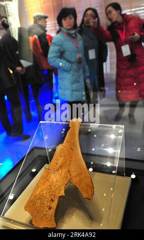 Bildnummer: 53604493  Datum: 16.11.2009  Copyright: imago/Xinhua (091117) -- ANYANG (HENAN), Nov. 17, 2009 (Xinhua) -- An oracle script is displayed in the Chinese Character Museum in Anyang, central China s Henan Province, Nov. 16, 2009. The museum, opened on Nov. 16, shows the evolution of Chinese characters since ancient times, showcasing cultural relics, including rubbed stone inscriptions, bronze vessels of the Shang (1600 B.C.- about 1046 B.C.) and Zhou (1066 B.C. - 256 B.C.) dynasties, Chinese seal engraving, ancient coins, writing bamboo and silk, and calligraphy work from different dy Stock Photo