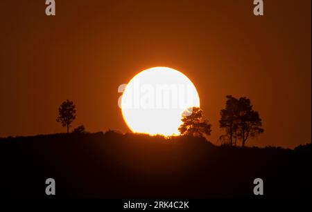 Coucher de soleil sur une colline avec des arbres silhouettés par le soleil en Grèce Banque D'Images