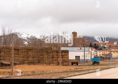 Découvrez la beauté à couper le souffle de Borobia, Soria avec cette superbe photographie panoramique représentant la montagne enneigée de Moncayo et le charmant alpaga Banque D'Images