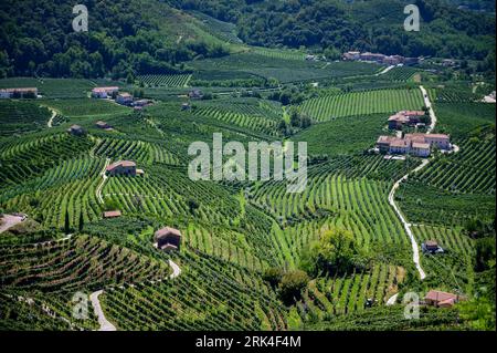 Belle vue sur les vignobles dans le nord de l'Italie Banque D'Images