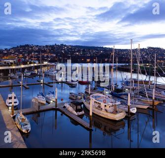 Launceston en Tasmanie, en Australie, avec le port de plaisance sur la rivière Esk vu au premier plan, regardant vers la rivière Tamar et Trevallyn. Banque D'Images