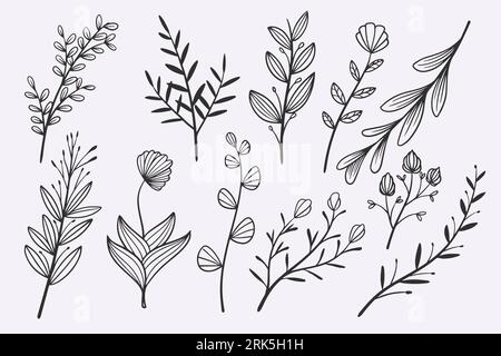flower leaves doodle dessiné à la main ensemble d'illustrations vectorielles Illustration de Vecteur