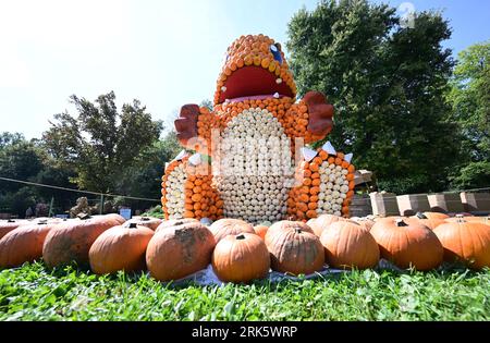 24 août 2023, Bade-Württemberg, Ludwigsburg : un Pokémon fait de citrouilles est installé dans le parc du Blühenden Barock à Ludwigsburg dans le cadre d'une exposition de citrouilles. (À dpa 'des centaines de milliers de citrouilles décorent à nouveau le parc à Ludwigsburg') photo : Bernd Weißbrod/dpa Banque D'Images